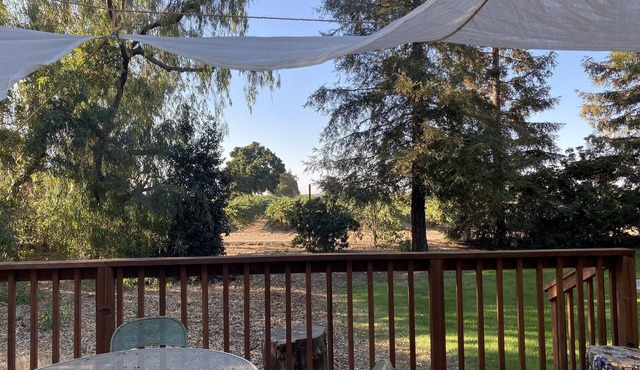 Farmhouse retreat in a unique location nestled in a vineyard - Ampelos