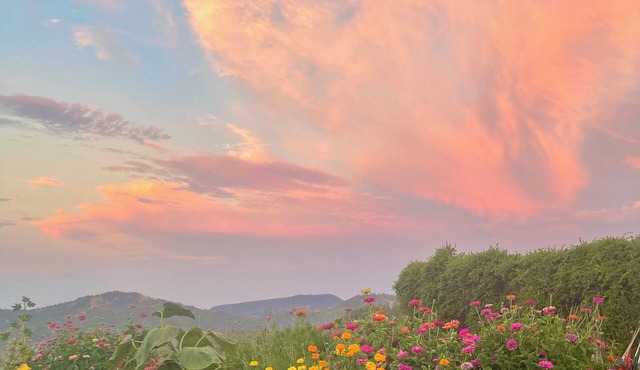 Farmhouse Retreat with Breathtaking Views of Mt. St. Helena – Perfect for Groups