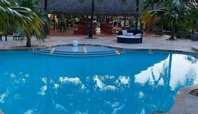 Farmhouse stay with amazing pool!