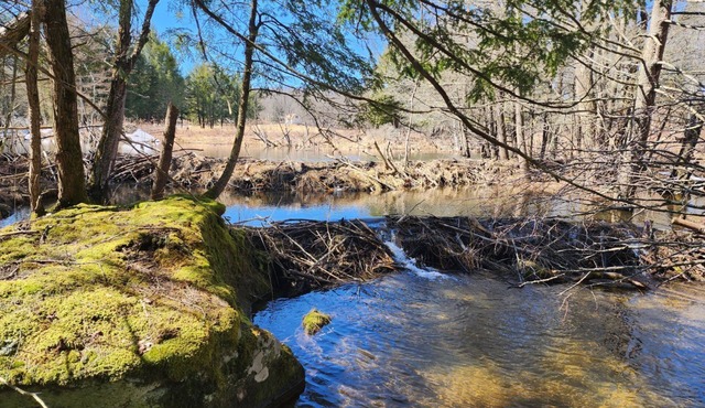 Farmhouse Style Apartment Located On a Serene 50+ Acres Featuring Creeks & Ponds