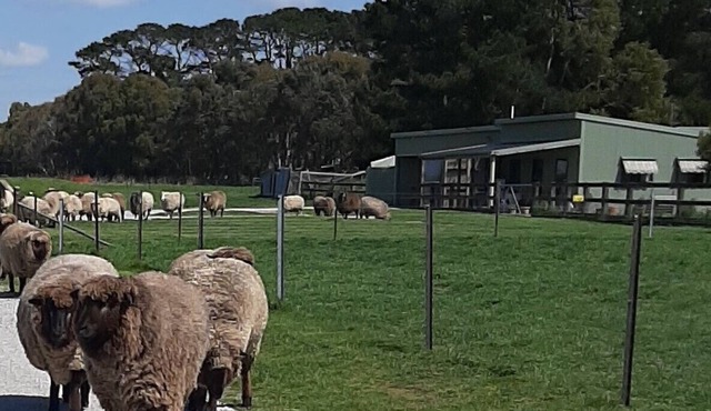 Farmstay at Fleece, Flock & Fibre an historic railway station in Taralga