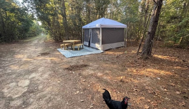 Farmstay- Buckbeak1 Tent/ScreenRoom