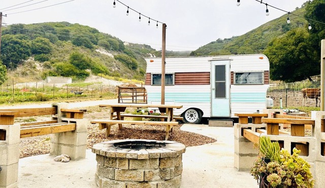 Farmstay in Vintage Remodeled Camper