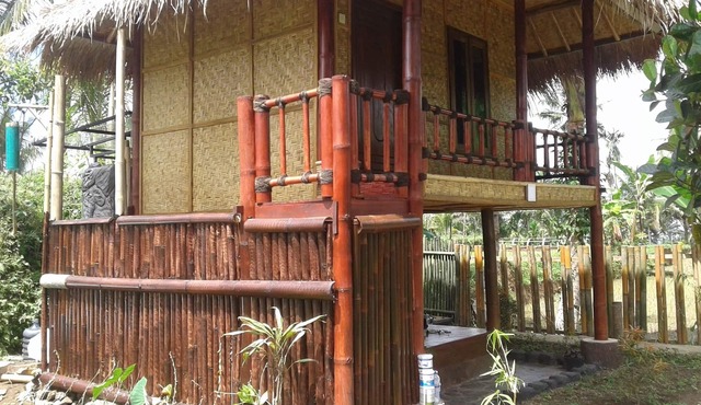 Farmstay Lunggu Hijau