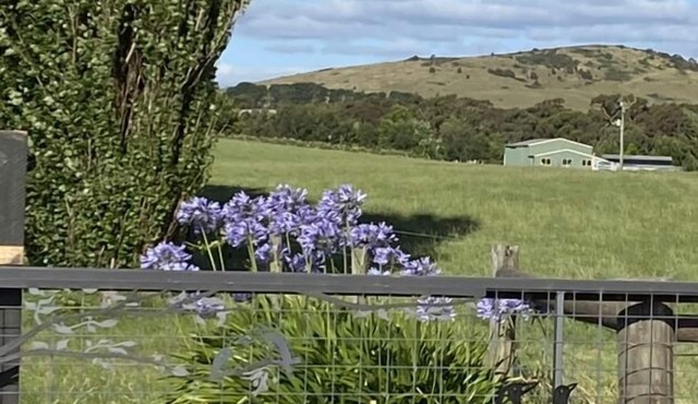 Farmstay RetreatnFamily cottage Child & Pet friendly ornOma's romantic Retreat