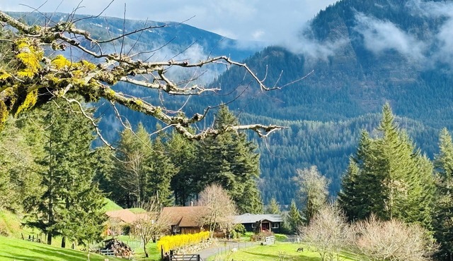 Farmstead Haven with River Views & Sauna