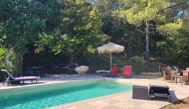 Farniente in Provence - Poolside among olive trees & cicadas