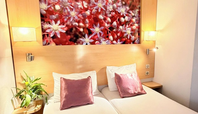 Fasthôtel Orléans Sud Zénith