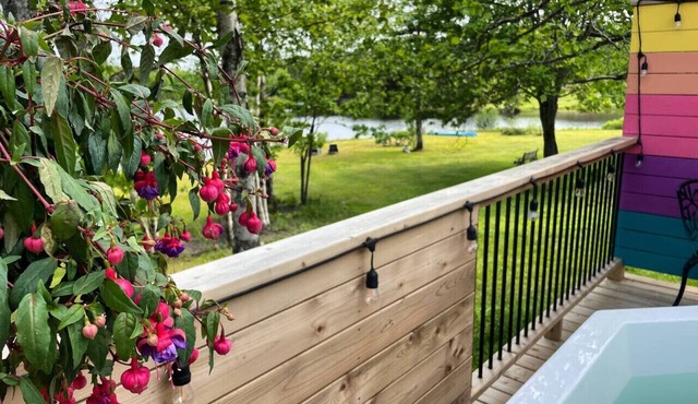 Fauna studio on the lake