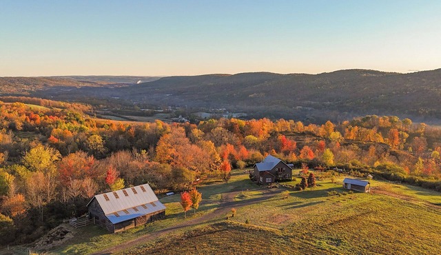 Fawn Crest - Timber Frame Retreat, 20 acres, Firepit, 5 mins to Alfred U/State