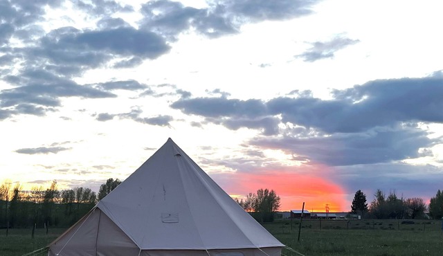 Fawn Haven TentnGlamping