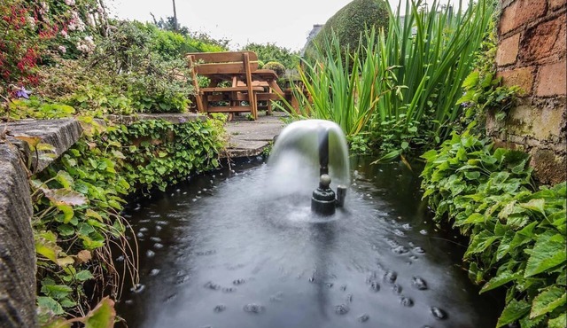 Feather Bed Cottage B&B