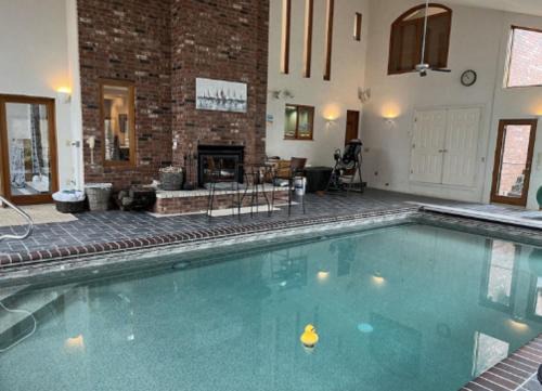 Feathered Nest at Fellows Lake