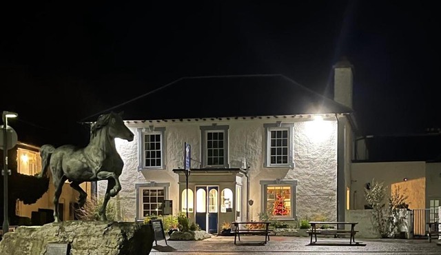 Feathers Royal Hotel