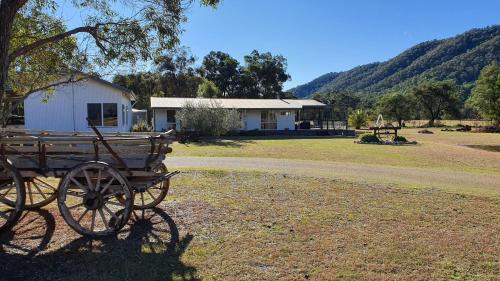Feathertop Views