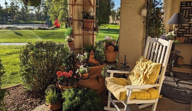 February in the desert. Charming 1-bedroom condo in delightful Scottsdale