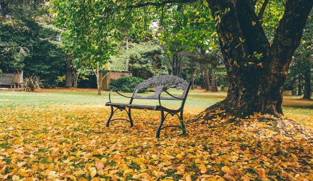 Federation Gardens & Possums Hideaway