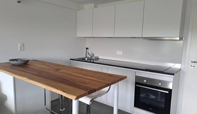 Feel-good place - freshly renovated - quiet location - 20min from Zurich main station