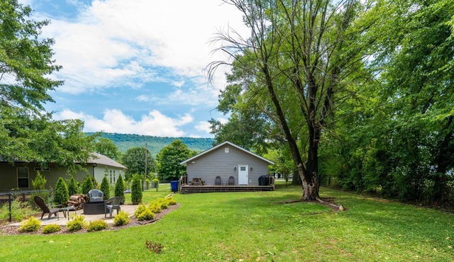 Fenced yard - Dogs - 1 mile The Venue - 10 min to Chattanooga-Lookout Mountain