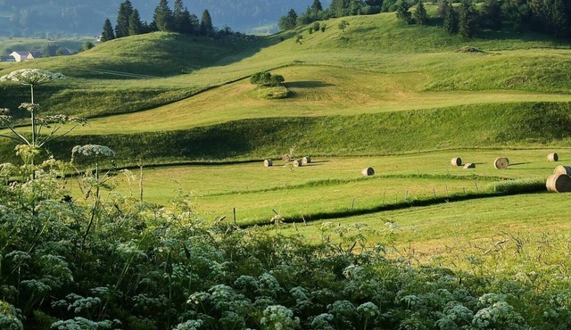 Fenoula gîte in an old farmhouse in the Haut-Jura near the lakes