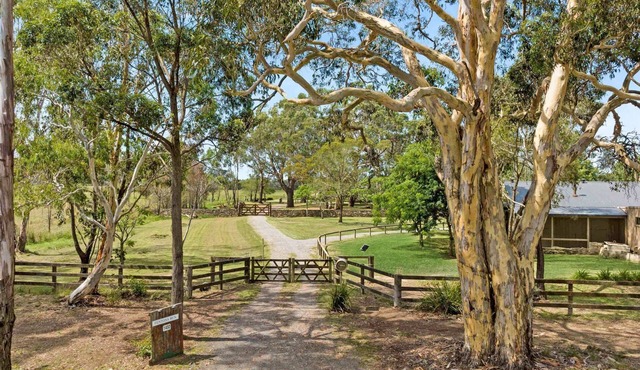 Fentons Run, High Range, Southern Highlands