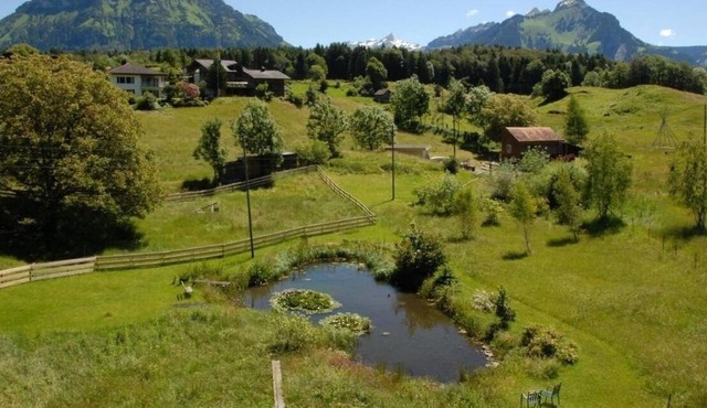 Ferienhaus für 12 Gäste mit 300m² in Seelisberg