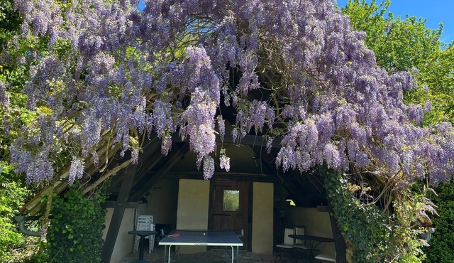 Ferienhaus mit Privatem Pool und Sauna in Einzellage in Südfrankreich