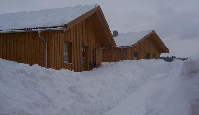 Ferienhaus Zinnöcker in Breitenberg