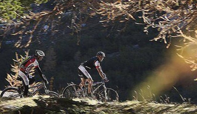 Ferienresidenz Soliva