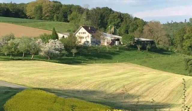 Ferienwohnung/app. für 4 Gäste mit 60m² in Schneisingen