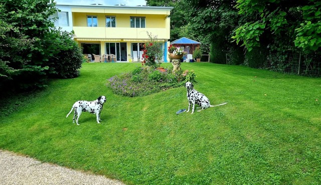 Ferienwohnung/app. für 2 Gäste mit 20m² in Cham