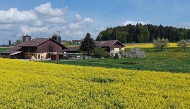 Ferienwohnung/app. für 5 Gäste mit 55m² in Dinhard