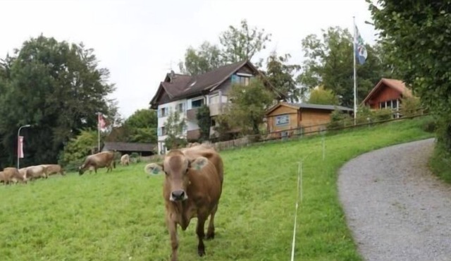 Ferienwohnung/app. für 3 Gäste mit 40m² in Neukirch