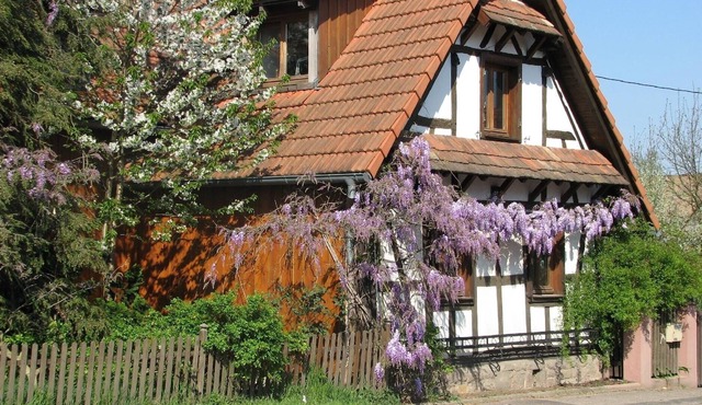 Ferienwohnung/app. für 2 Gäste mit 35m² in Schwabwiller