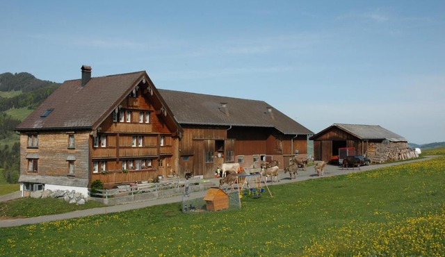 Ferienwohnung Brülisauer