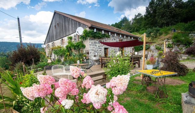 Ferme des Hautes Vosges, 8-12p full nature