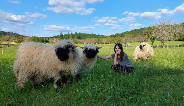 Ferme des Petites Oreilles: 4* gîte, 100 animals and 24 ha. Ideal for families