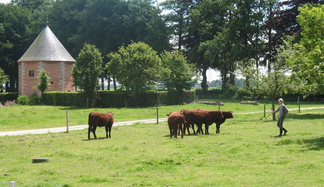 Ferme du Printemps, unusual place, zen, swimming pool, garden, farm experiences