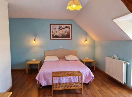 Ferme rénovée près de Beaugency, 4 chambres, petit-déjeuner maison, proche Loire à Vélo - FR-1-590-445