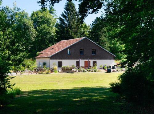 Ferme Vosgienne rénovée avec spa, sauna, jacuzzi, billard et étang privé en pleine nature - FR-1-589-327