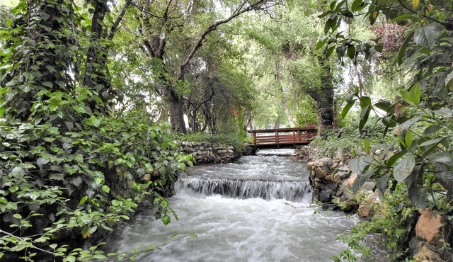 Fern Creek - Murphys Vacation Rentals