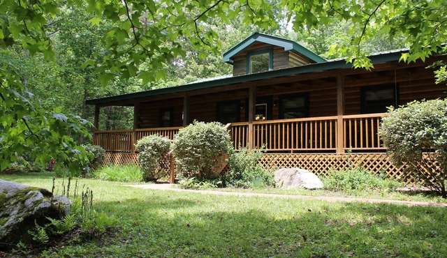 Fern Garden, A Cabin in Clifftops