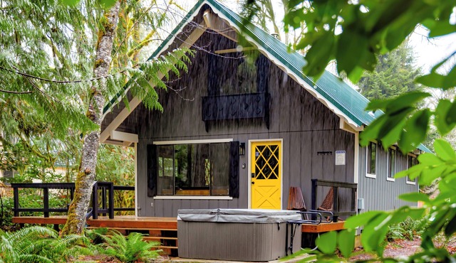 Fern Grove Cabin - Riverfront, Mountain views, Hot tub, Fire pit, Pet-friendly