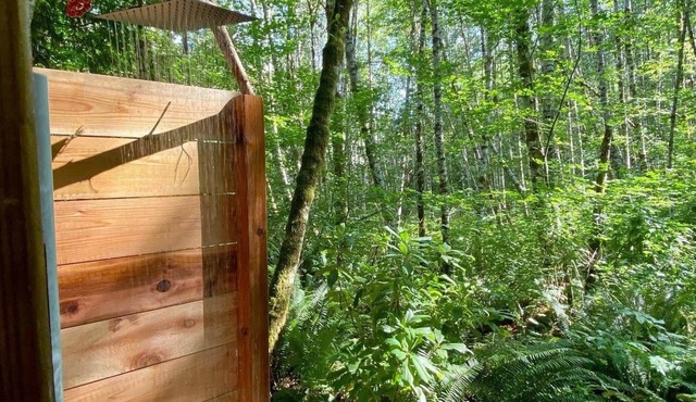 Fern Oasis @ Baker Lake