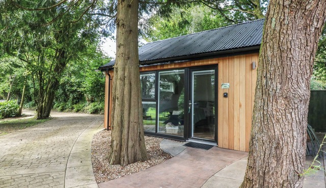 FERN, with a garden in Barnstaple