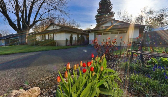 Fernhaven · Fernhaven welcomes you