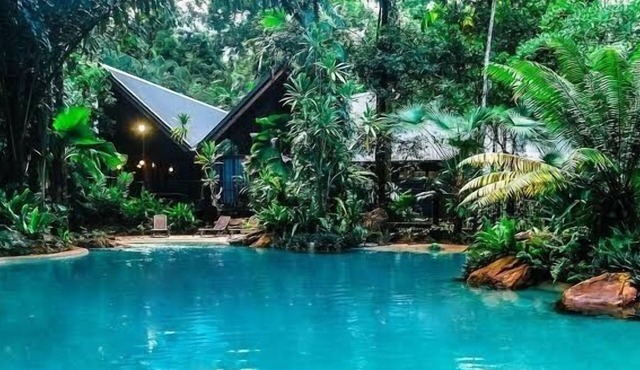 Ferntree Rainforest Hotel