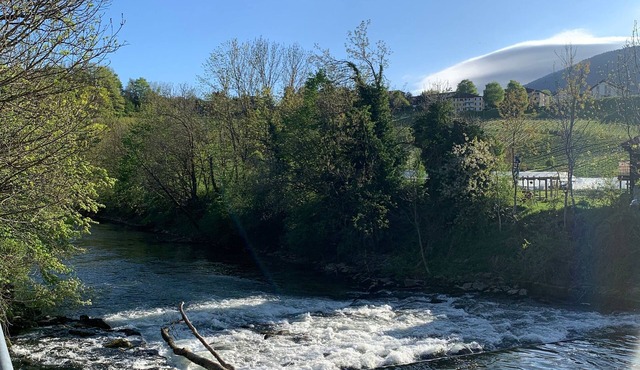 Fewo "Cozy Little Dream"