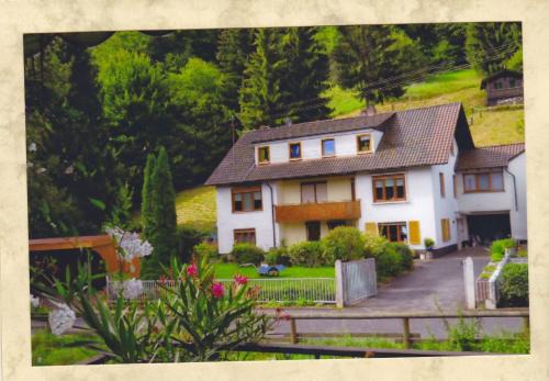Fewo-Monteurwohnung Steger in Frammersbach