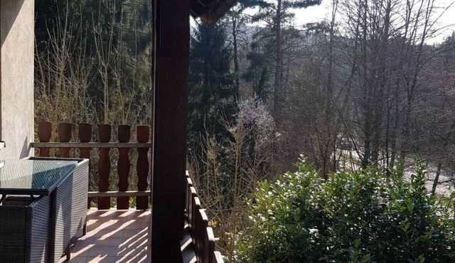 FewoEla2 -Comfortable apartment in Eppstein near Wiesbaden/Frankfurt in Eppstein